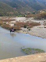IMG_5648