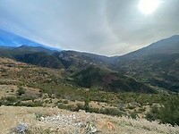 IMG_5649
