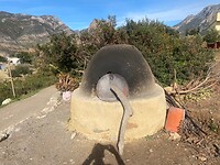 IMG_5655