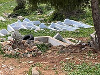IMG_7774