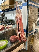 IMG_7775