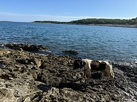 IMG_7340
