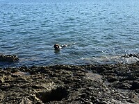 IMG_7341