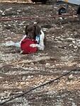 IMG_7343