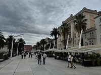 IMG_7424