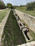 IMG_7443