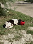 IMG_7449