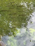 IMG_7567