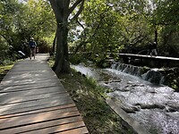 IMG_7568