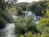 IMG_7572
