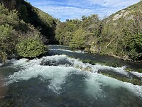 IMG_7607