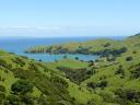 Coromandel - west coast 2