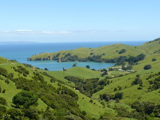 Coromandel - west coast 2