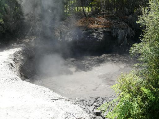 Heet modderbad in Rotorua