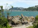 Marine Drive in Wellington