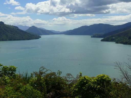 Marlborough Sounds