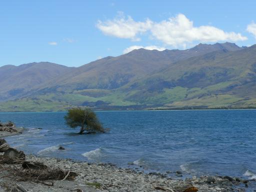 Lake Wanaka - 1