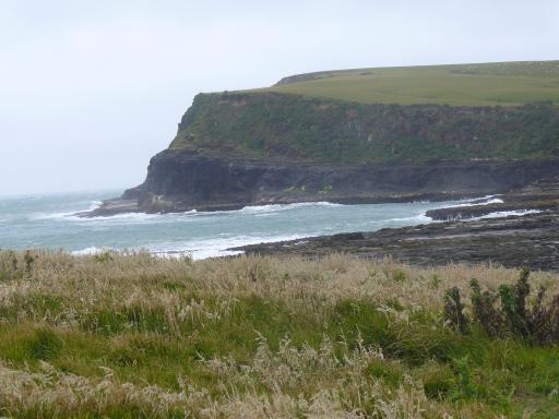 Curio Bay