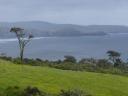 Kust aan de Catlins