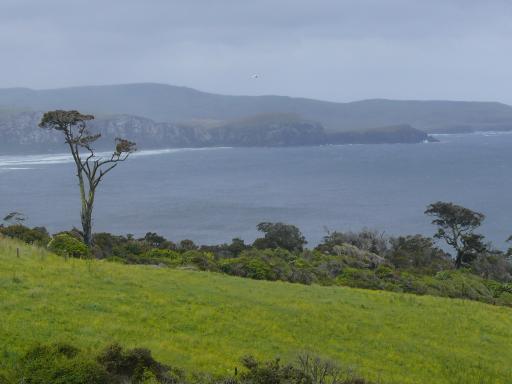 Kust aan de Catlins