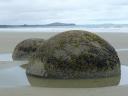 Moeraki Boulders