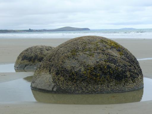 Moeraki Boulders