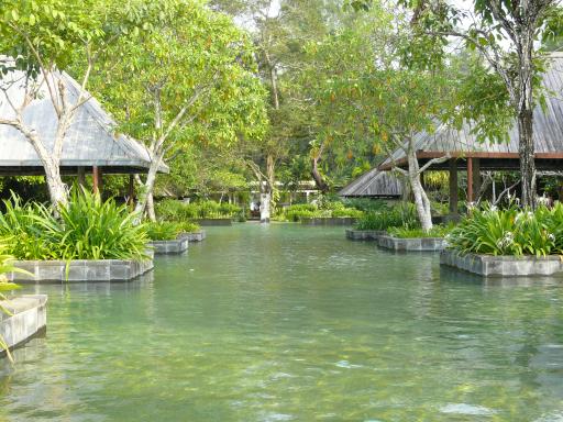 The pool...