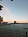 Vorst in Ruurlo