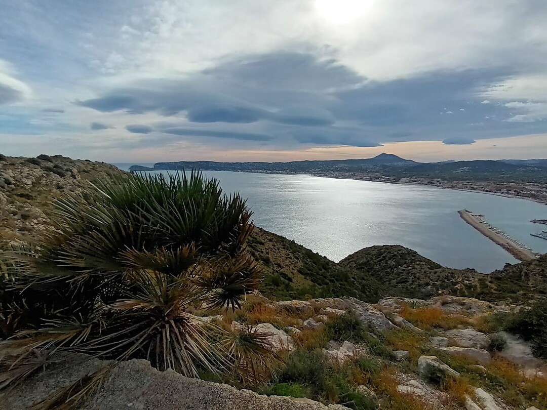 Cap de Sant Antoni