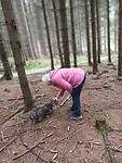 In het bos