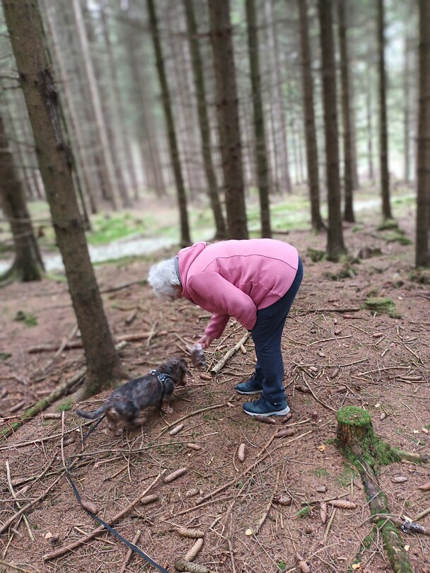 In het bos