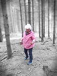 In het bos