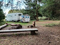 Prachtige plaats in het bos