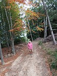 In het bos