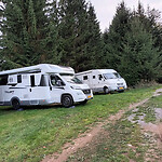 Prachtige plaats in het bos