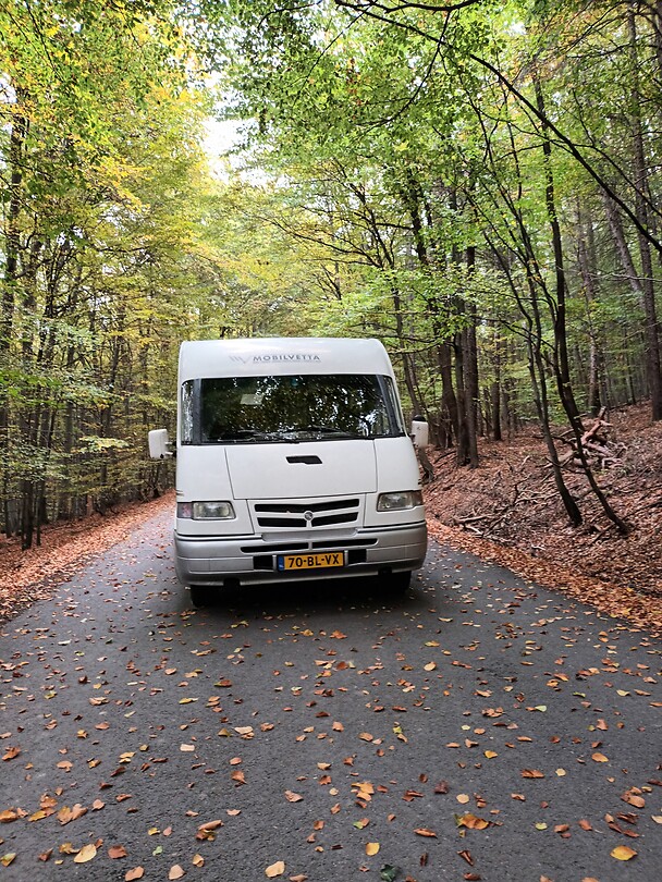 Door bos naar kasteel