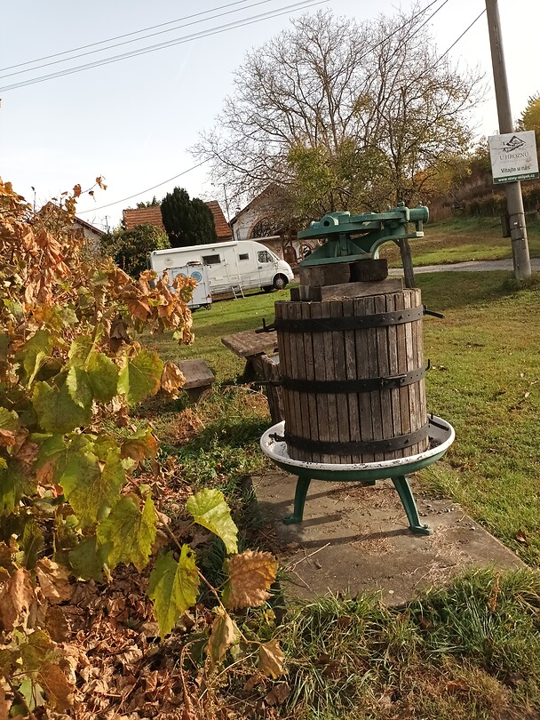 Wijndorpje