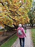 Frymburk