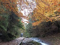 Malá Fatra Nationalpark