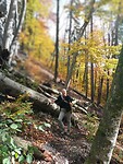 Wandeling naar de grotten