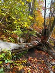 Wandeling naar de grotten