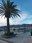 Port Montenegro