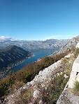Kotor Serpentine