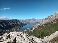Kotor Serpentine