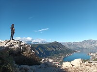 Kotor Serpentine