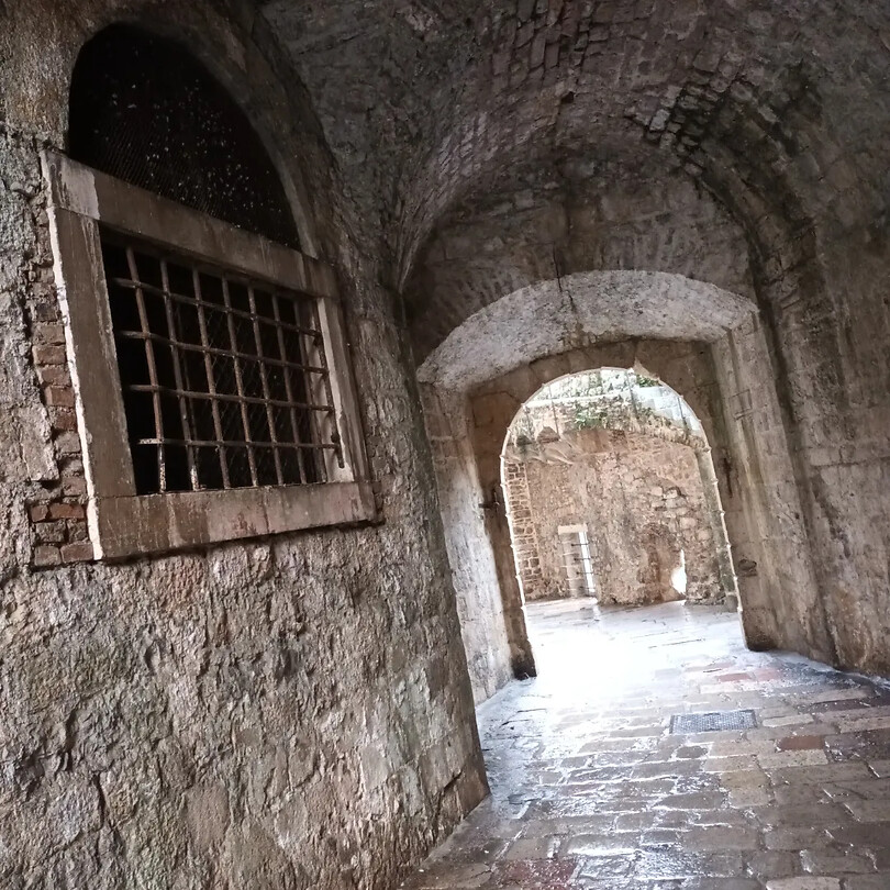 Kotor