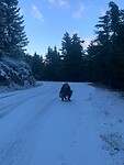 Sneeuw !