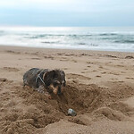 Slapen op het strand