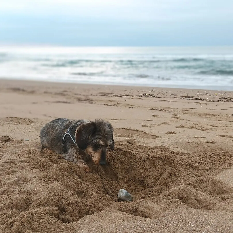 Slapen op het strand