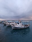 Kalamata